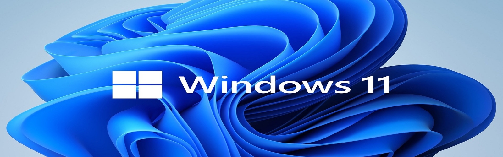 software di Microsoft Windows