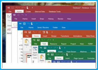 Professionista 2016 di Microsoft Office pro più 2016 per Windows con 3,0 USB