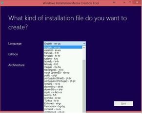 Software di DVD dell'OEM del professionista di Microsoft Windows 8,1 con il bit bit/32 del COA 64